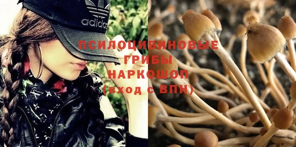 каннабис Ельня