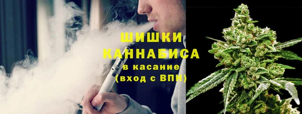 ГАЛЛЮЦИНОГЕННЫЕ ГРИБЫ Гвардейск