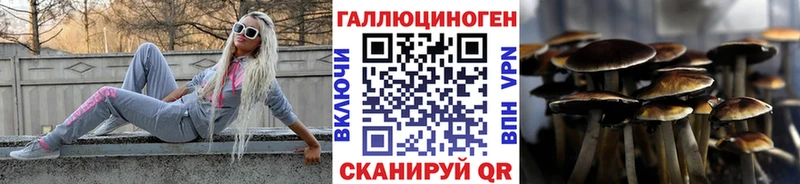 Галлюциногенные грибы Psilocybe  Зуевка 